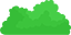 bush